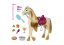 Mattel Barbie Dansend paard met geluiden en accessoires HXJ42