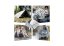 Emergency thermal blanket 160x210cm 10 pieces silver
