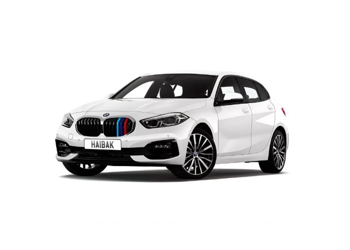 BMW 1 F21 2016-2019 M-Performance strips for the front mask