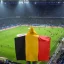 Original hooded body flag (150x90cm, 3x5ft) - Belgium