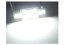 Car bulbs with LED backlight 36mm 12V C5W-12SMD-2835 Canabus 320LM White